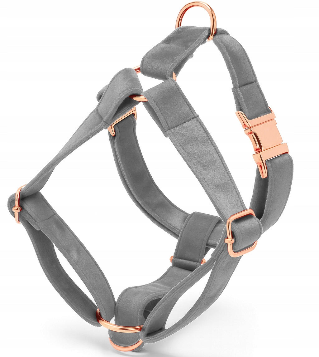 HARNESS GUARD VELOUR FOR DOG ADJUSTABLE PRESSURE-FREE COMFORTABLE VELOUR ros. S Manufacturer code GUARD.WELUR.GREY.S