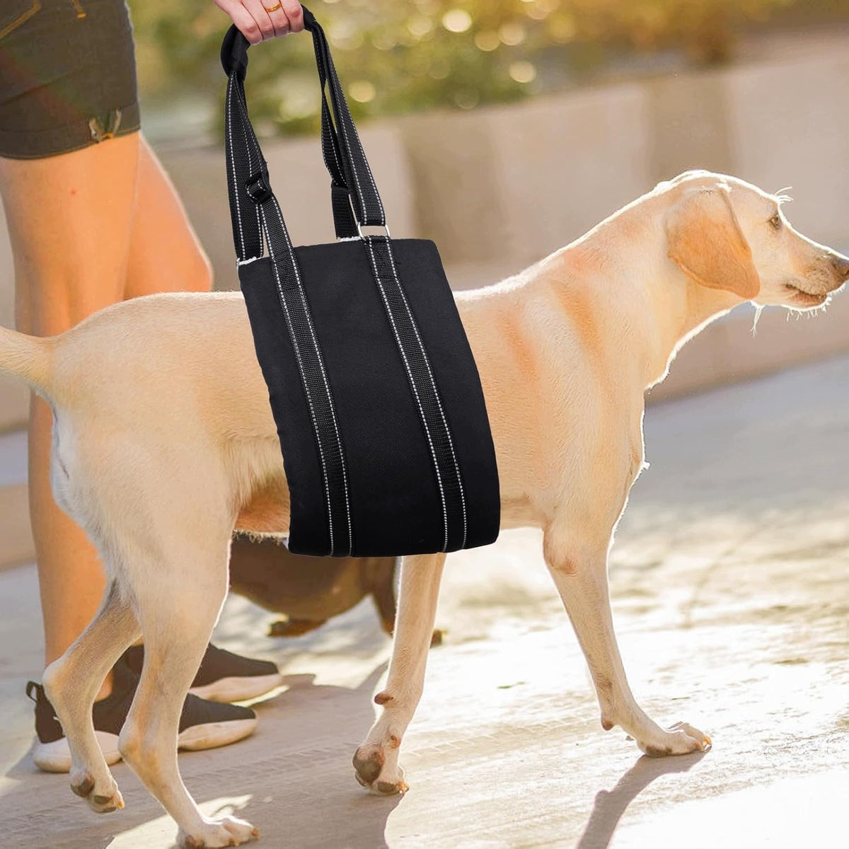 HARNESS REHABILITATION CARRIER FOR ANIMALS FOR LIFTING BLACK Manufacturer code 7PTYQ5307-002