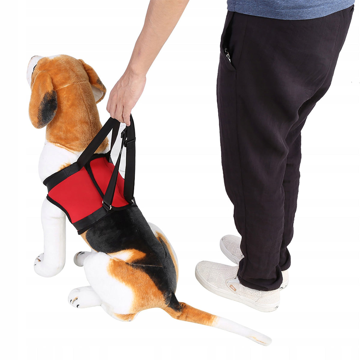 HARNESS REHABILITATION HARNESS FOR DOG TO FRONT LEG IS SURGERY S Packaging status original