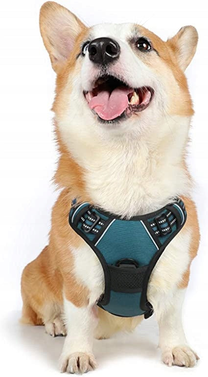 HARNESS Rabbitgoo Dog Harness Vest 2 Leash Clips Manufacturer code DTCW024M