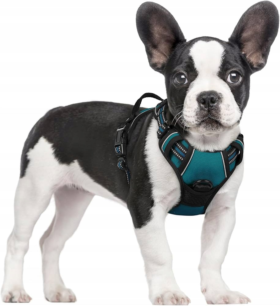 HARNESS Rabbitgoo Dog Harness Vest 2 Leash Clips