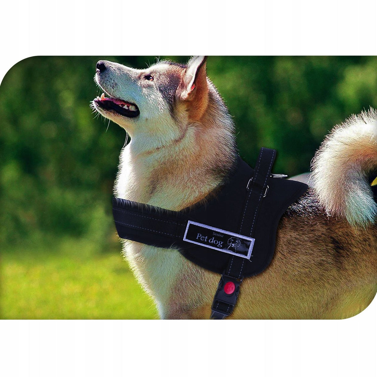 HARNESS WITH HANDLE FOR SMALL DOG size S Manufacturer code K-491011330-L