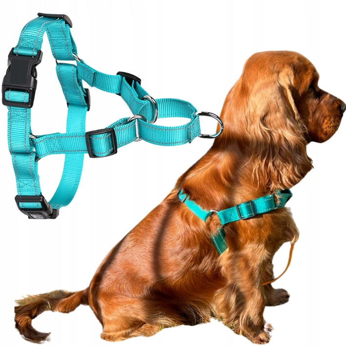 HARNESS for a large dog EASY WALK reflective XL turn