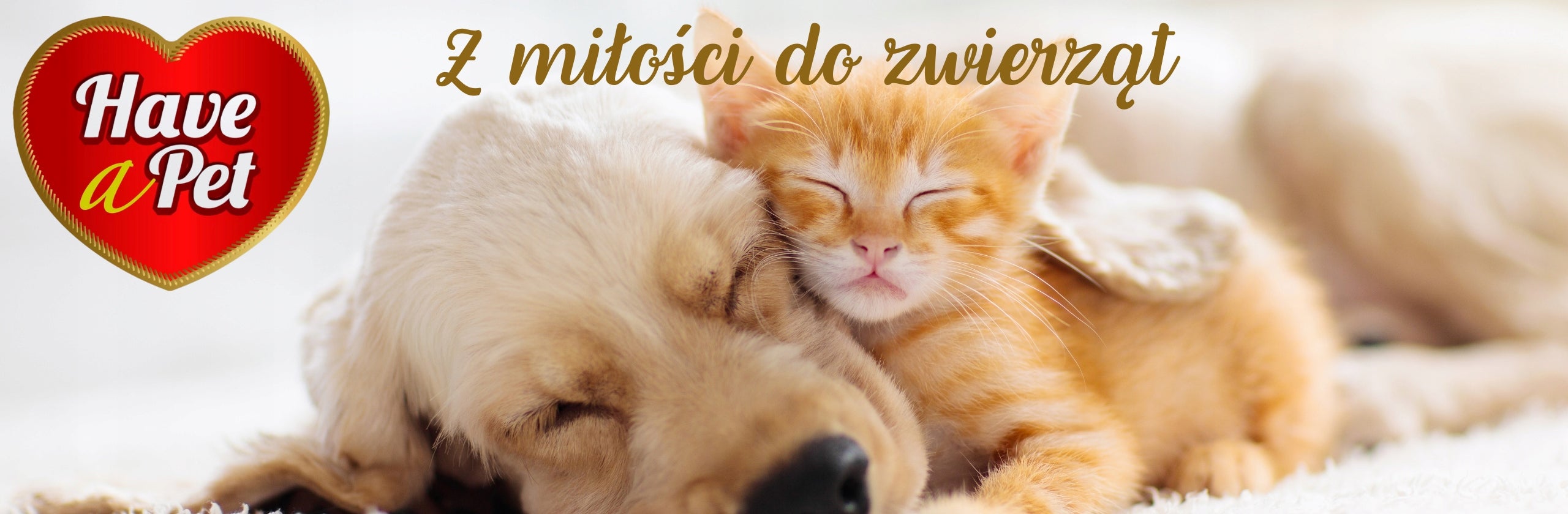 HAVE A PET LAVENDER BENTONITE LITTER 25L Trade name HAVE A PET ŻWIREK BENTONITOWY LAWENDOWY 25L