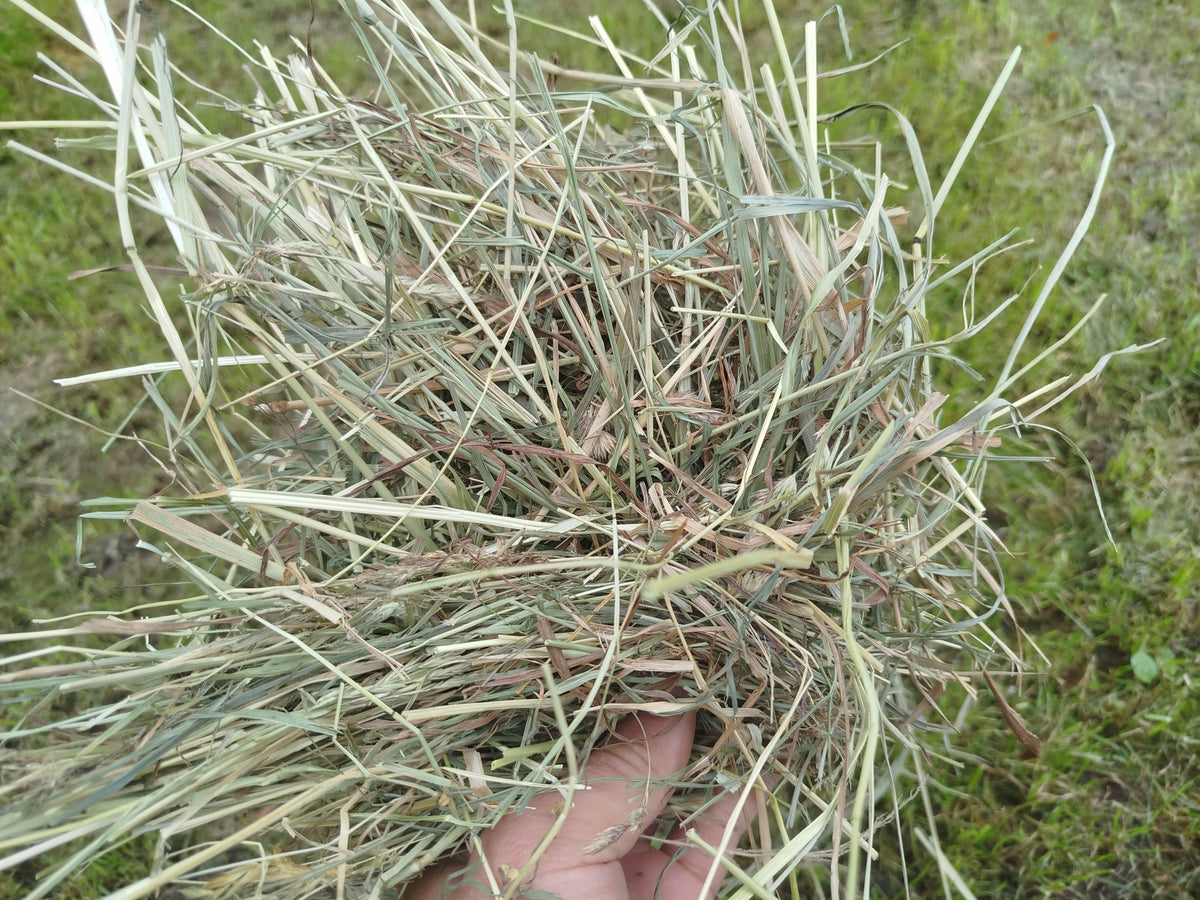 HAY 2025r NATURAL FOR RABBIT RODENT 10 KG MEGA PAKA Manufacturer code 5903938750120