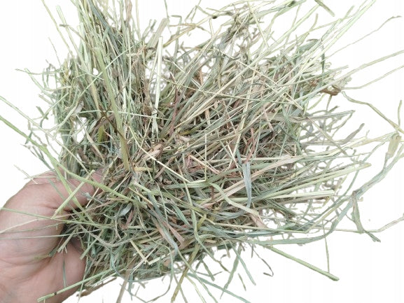 HAY 2025r NATURAL FOR RABBIT RODENT 10 KG MEGA PAKA