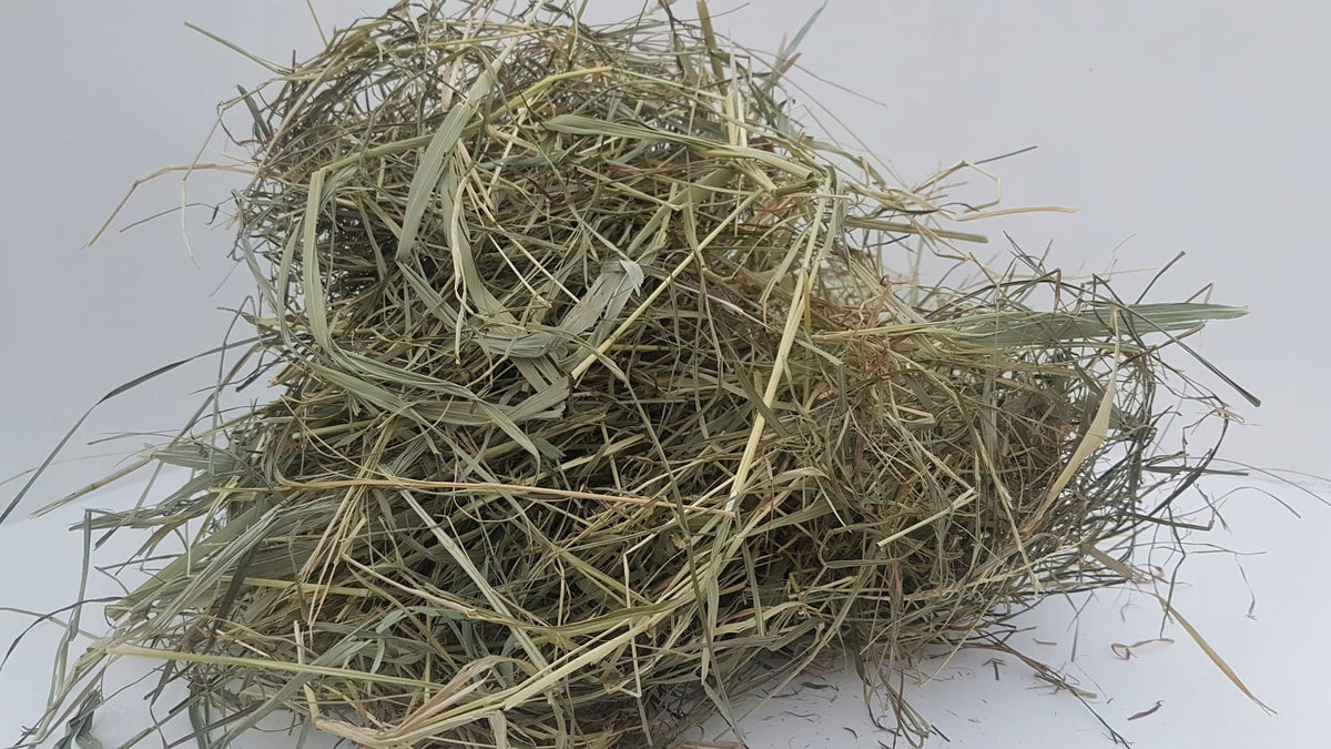 HAY 4KG FOR RABBITS AND RODENTS Packaging status original
