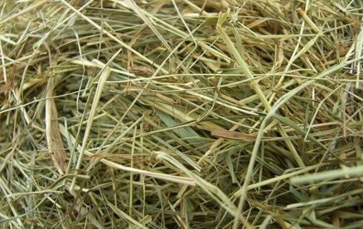 HAY 5 KG FOR RABBITS AND RODENTS NATURAL