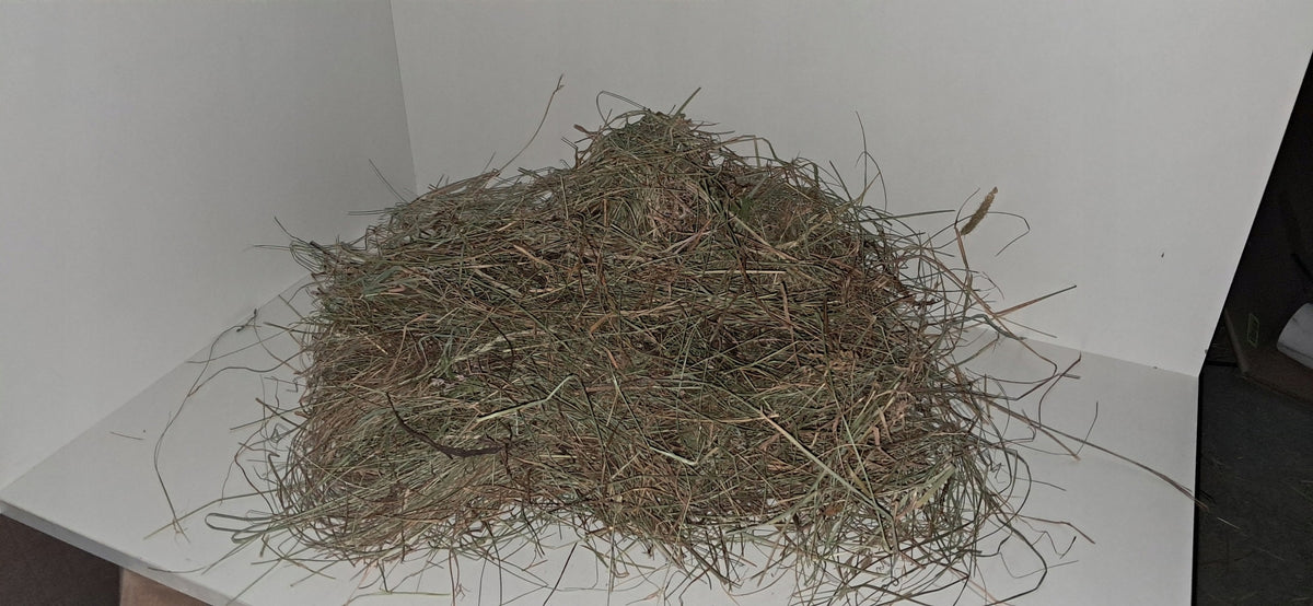 HAY feed for guinea pig RABBIT RODENT GREEN FRAGRANT 1Kg Manufacturer code 1KG