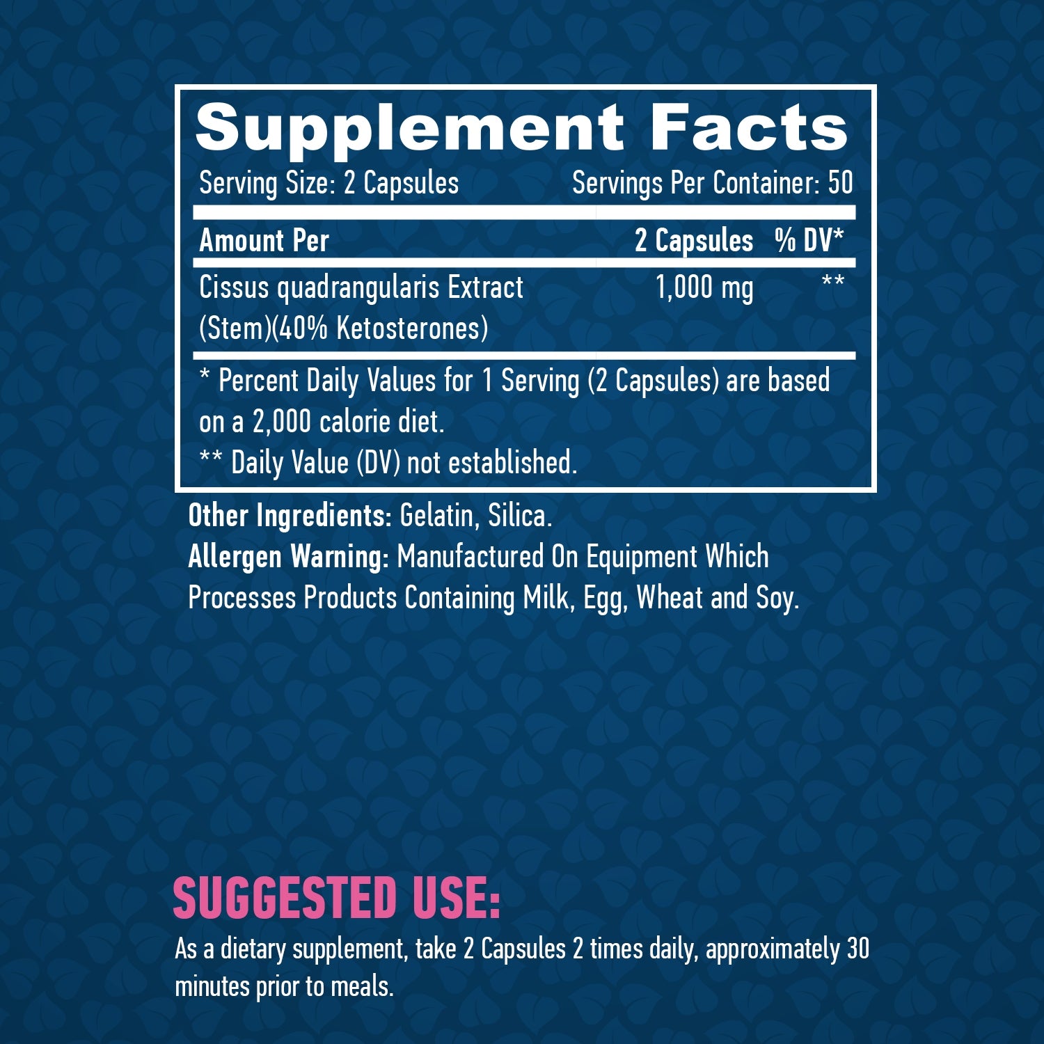 HAYA LABS Cissus 500 mg / 100 capsules Brand Haya Labs