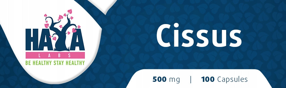 HAYA LABS Cissus 500 mg / 100 capsules Manufacturer code 48220
