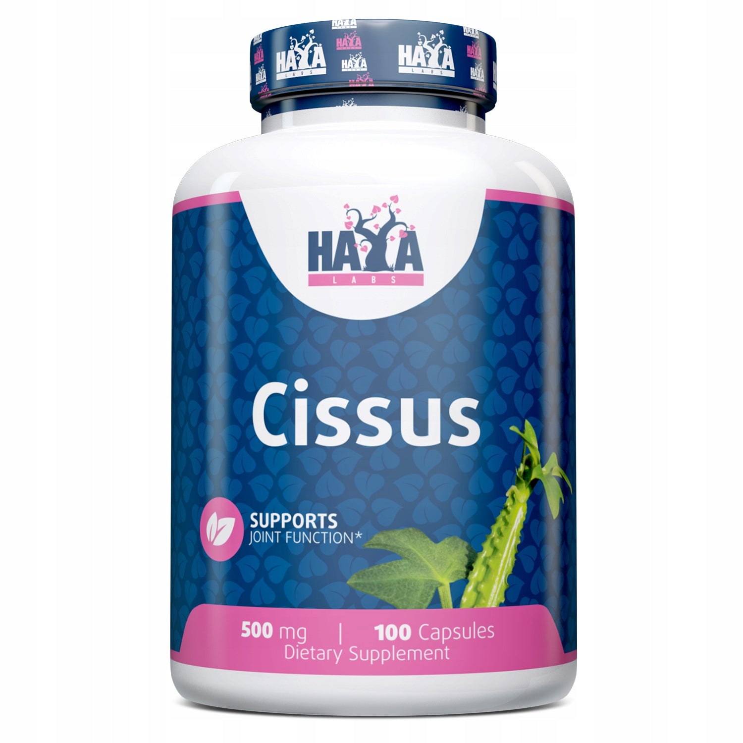 HAYA LABS Cissus 500 mg / 100 capsules