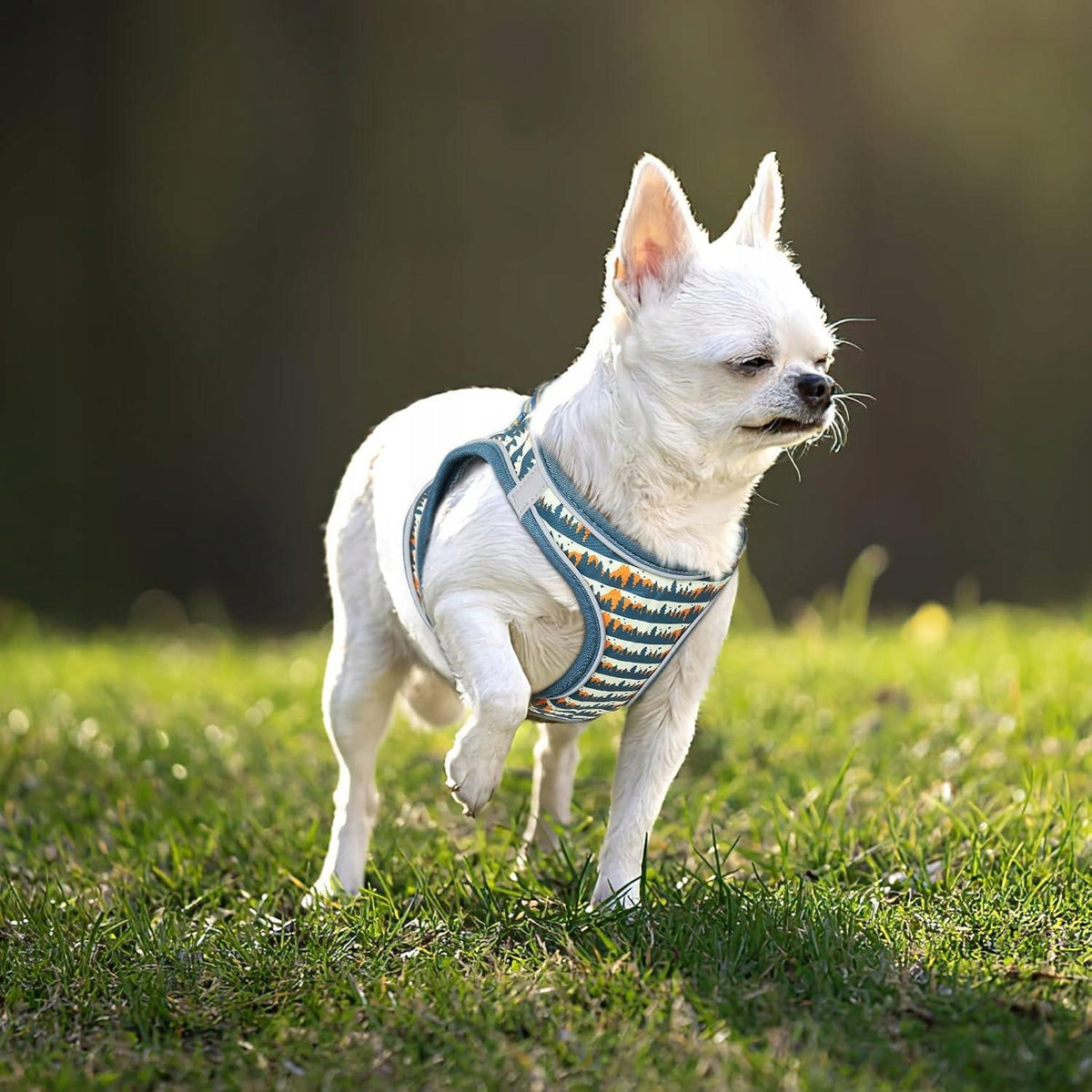 HEELE XXS Dog Harness Manufacturer code 5904266103046