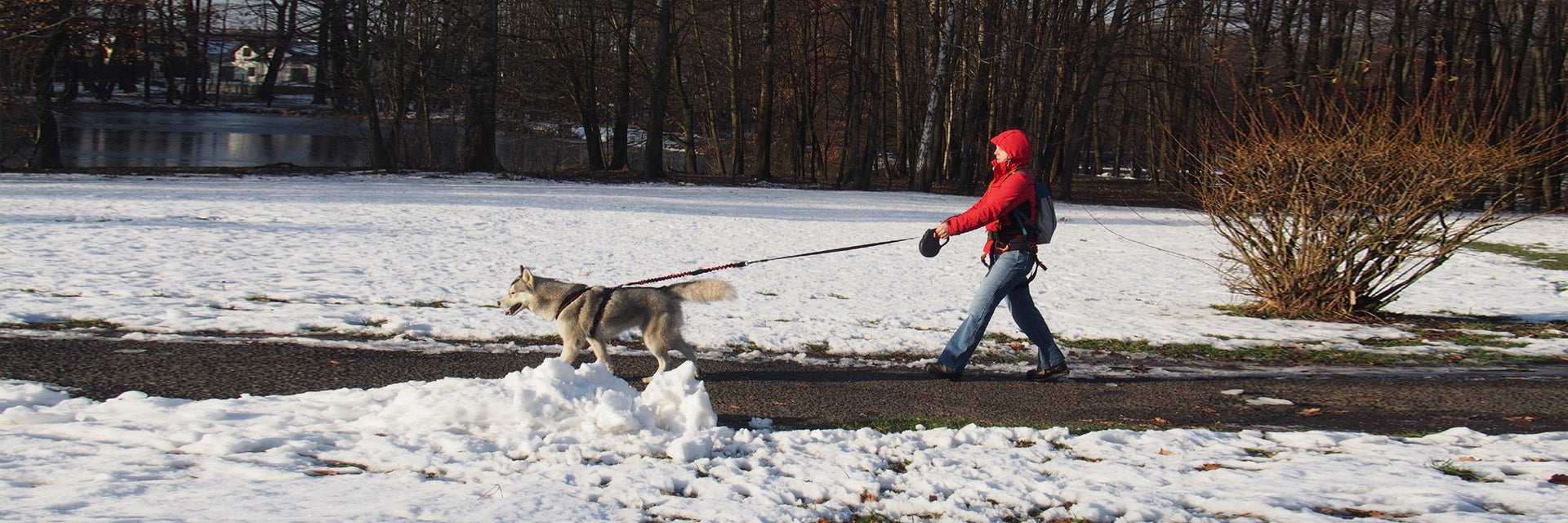 HIFICA Shock absorber for classic and automatic leash SHOCK JOINT PP 40 Maximum leash length 100 m