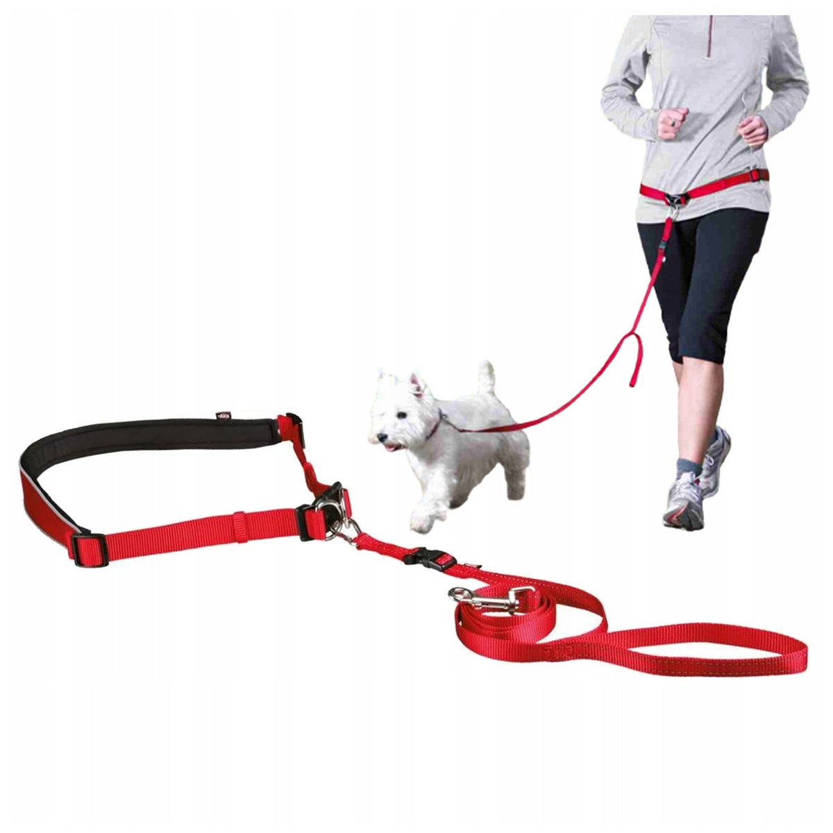 HIP BELT JOGGING LEASH WITH DOG S-M