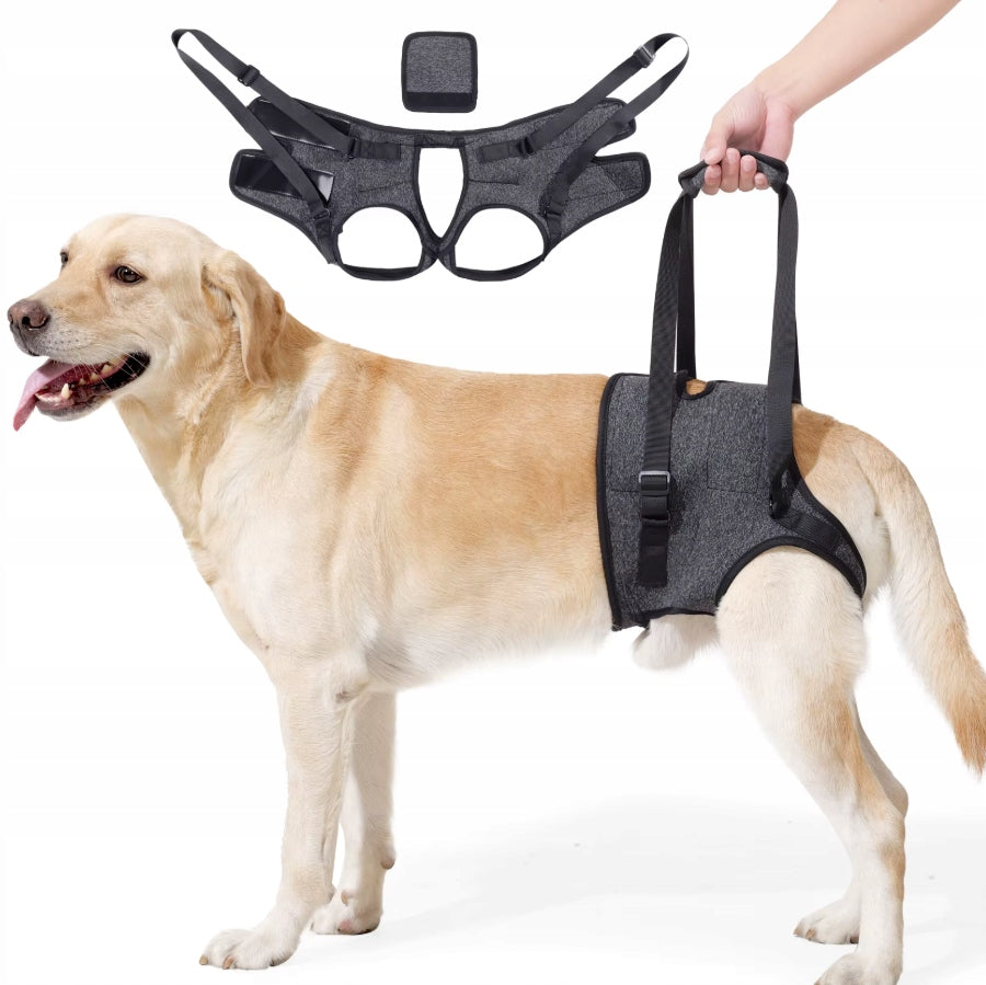HIP HARNESS for Large Dogs Back Leg Support REHABILITATION S