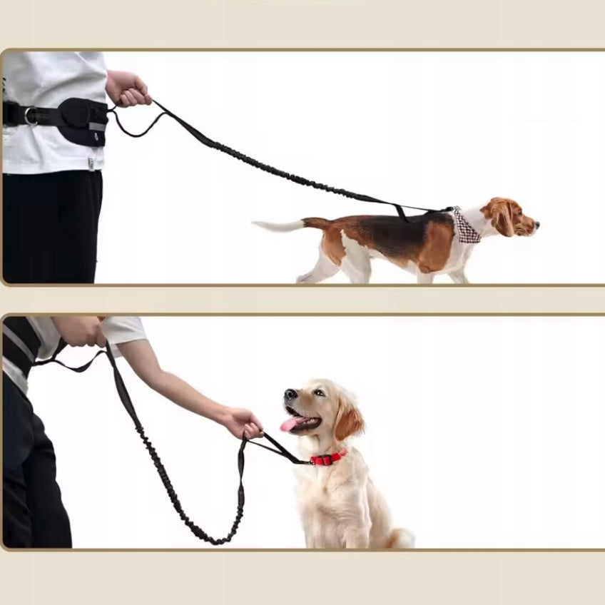 HIP TREKKING BELT WITH RUNNING SHOCK ABSORBER WITH DOG ELASTIC LEASH Manufacturer code PAS do biegania