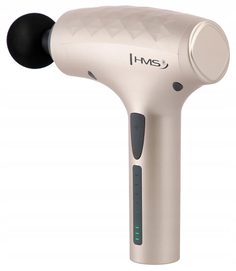 HMS Full Body Massage Gun Gold INTERCHANGEABLE TIPS PDM3134
