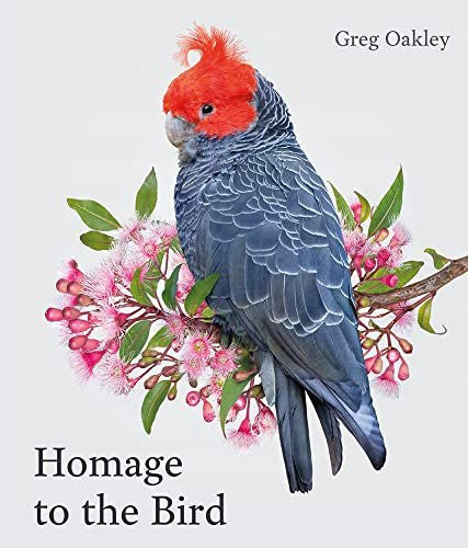 Hommage an den Vogel 