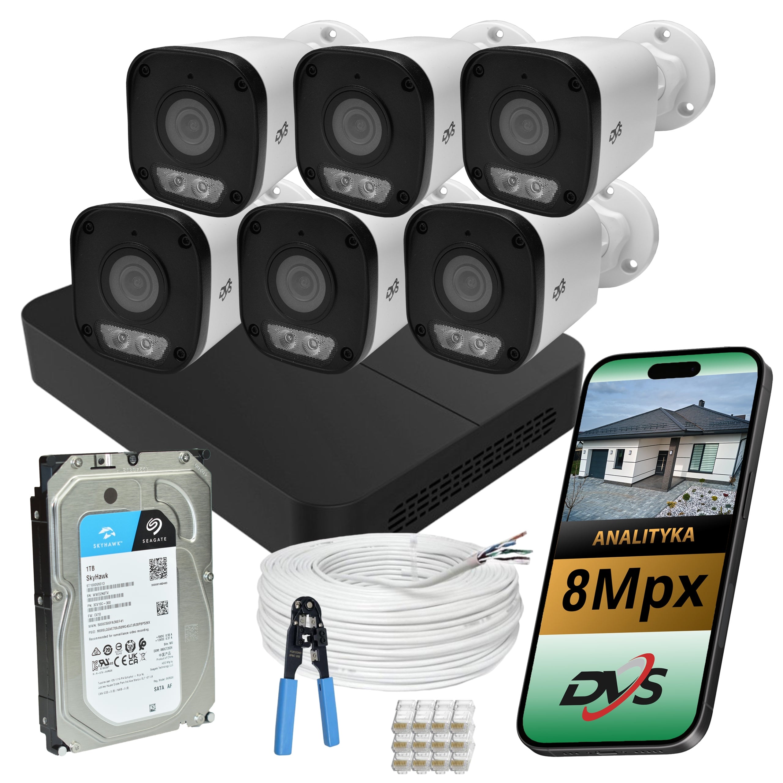 HOME MONITORING with Analytics Set of 6 Outdoor IP Cameras 8Mp 4K DVS 1TB PoE