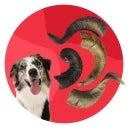 HORN MUTTON SMALL. BEST-DOG Manufacturer code Tu