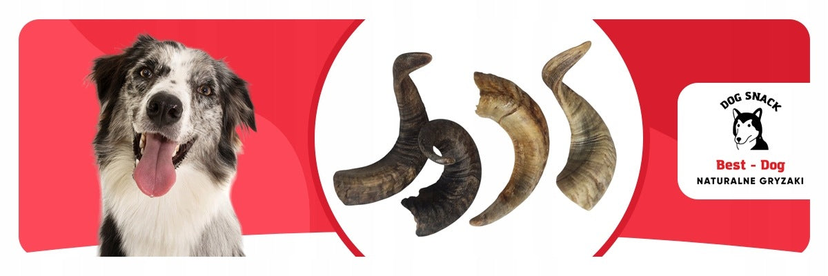 HORN MUTTON SMALL. BEST-DOG Packaging status original
