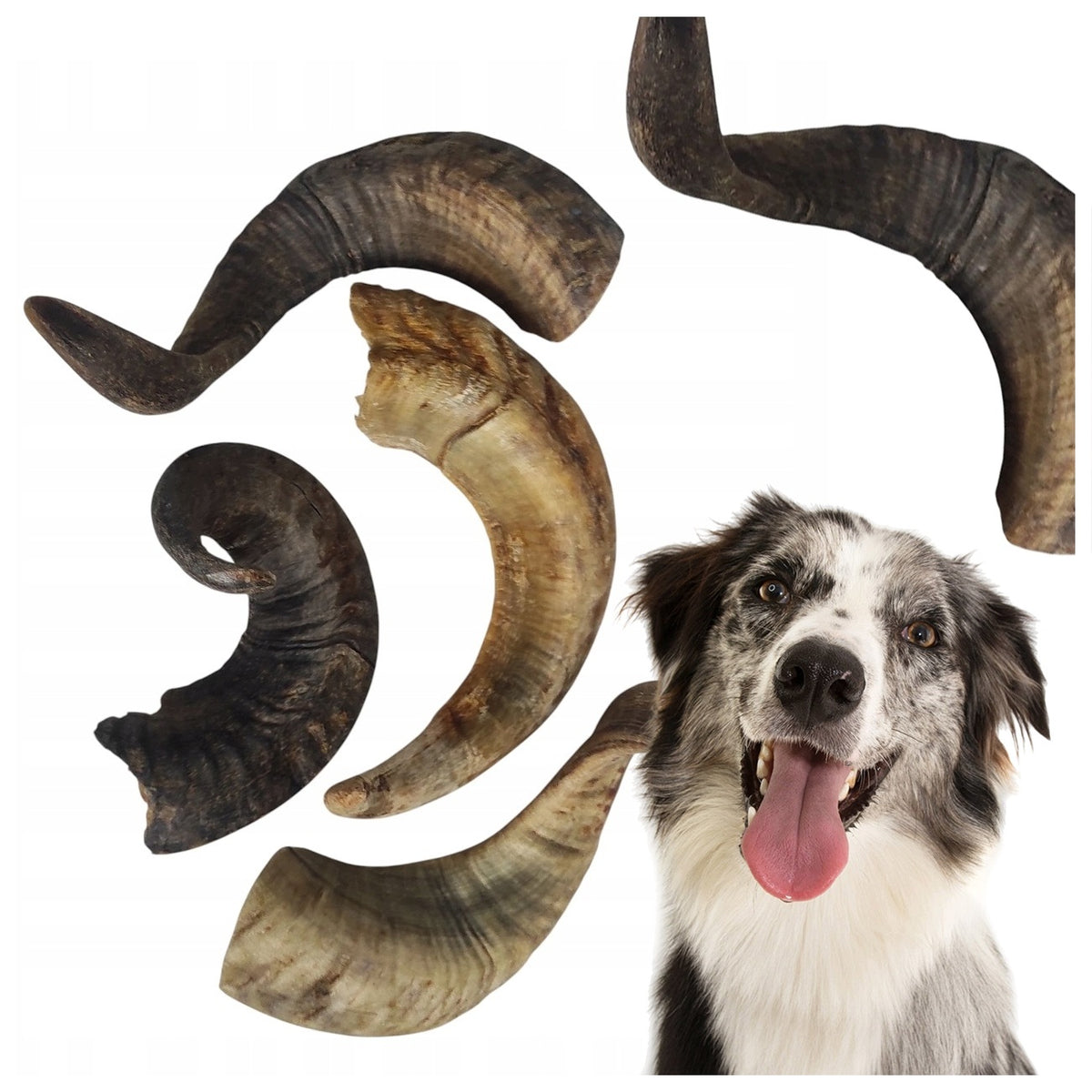 HORN MUTTON SMALL. BEST-DOG