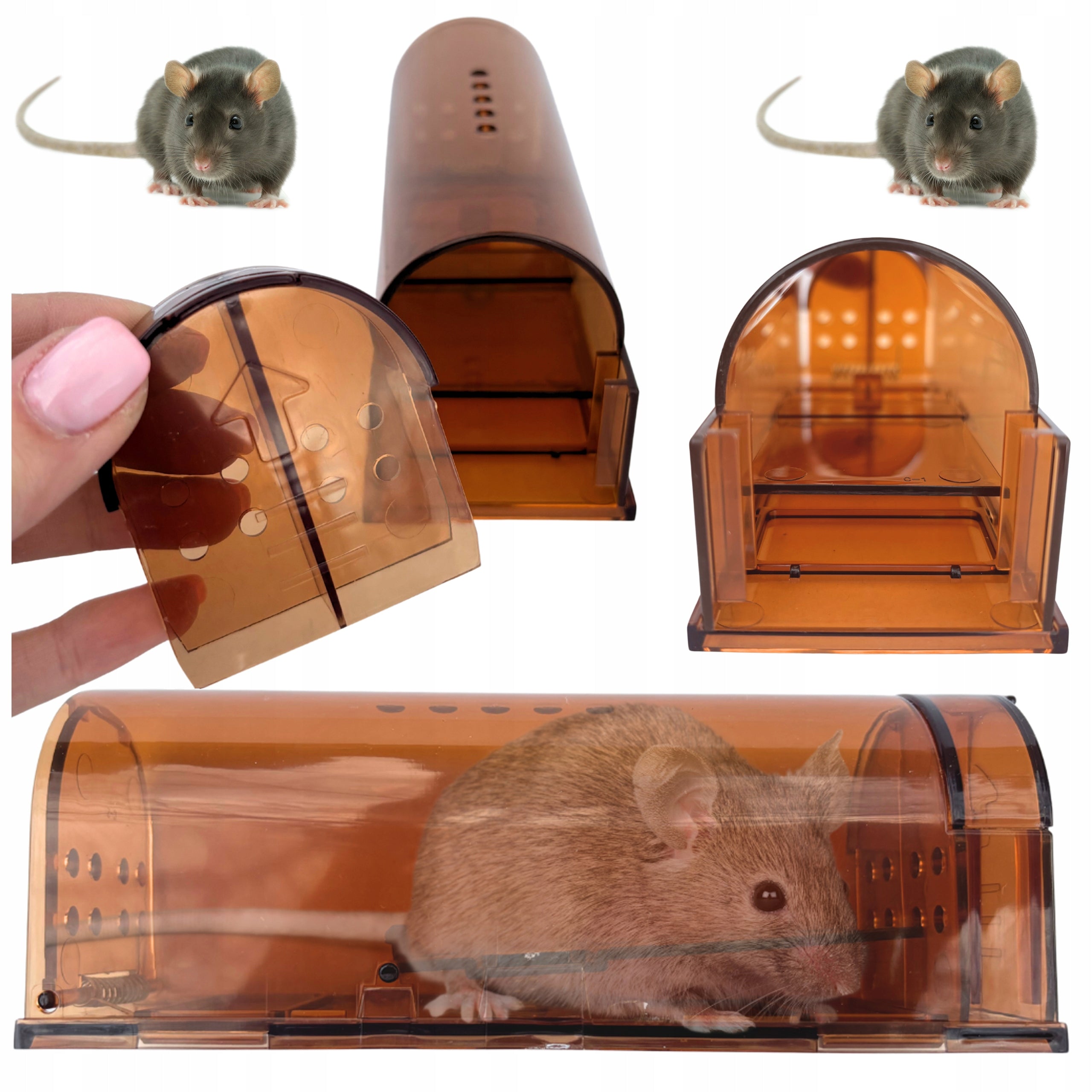 HUMANE GRIPPER LIVETRAP MOUSETRAP FOR RODENT CONTROL TUNNEL Packaging status original