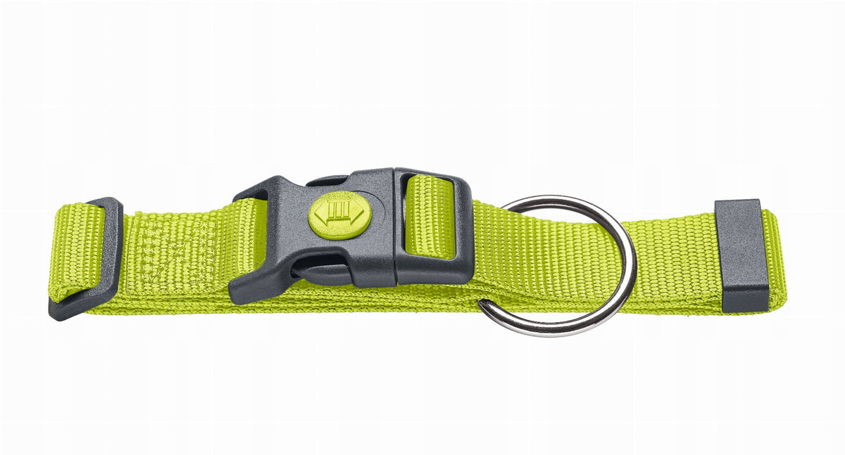 HUNTER London XL Lime Collar