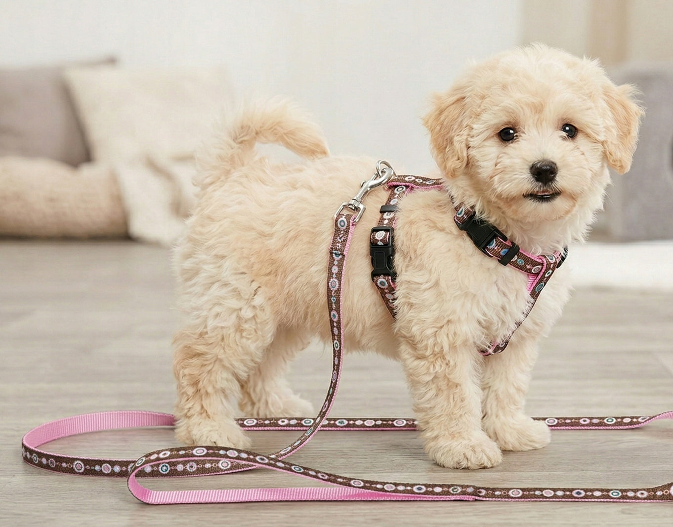 HUNTER Smart – Harness + Leash Set - for puppies of small breeds and cats Packaging status original
