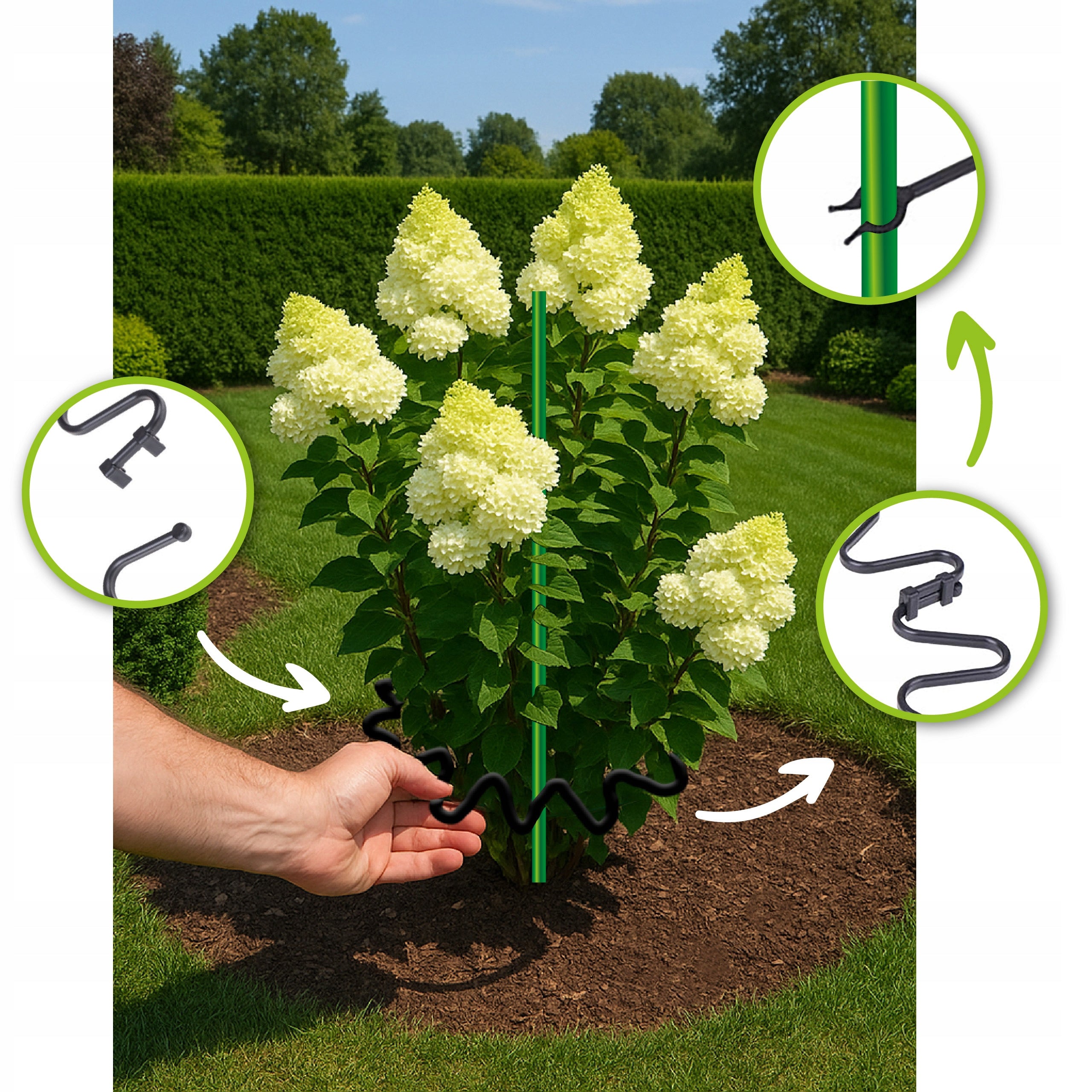 HYDRANGEA CLAMPS 10 pieces fi 6 BLACK SUPPORT RING FOR ROSE FLOWER PLANTS Product height 21.5 cm