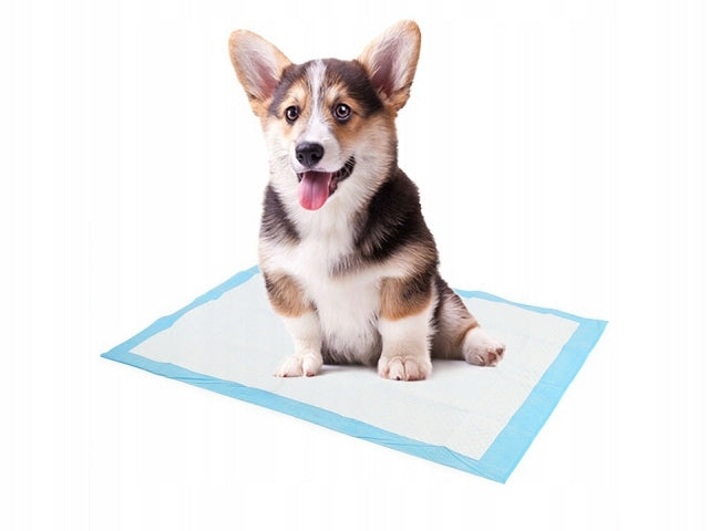 HYGIENE PADS ABSORBENT CAT DOG MATS FOR PEEING 40x60 - 25pcs. Manufacturer code Podklady maty dla psa 45x60 25szt
