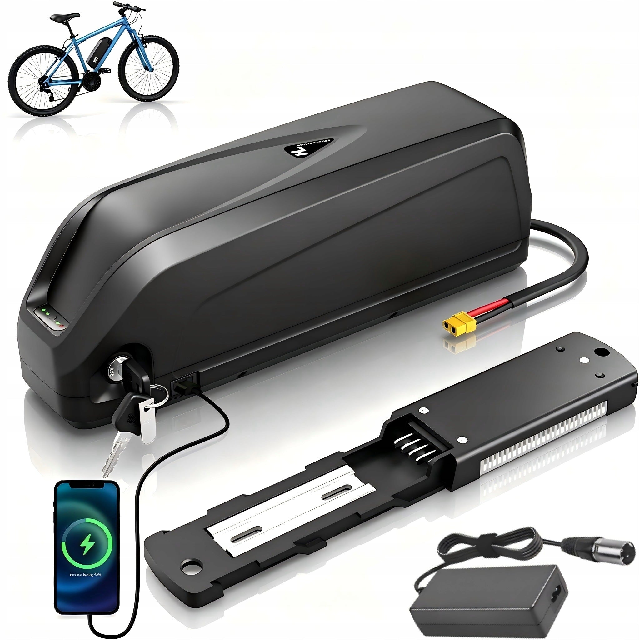 Hailong 48V 20Ah 720Wh Battery for Electric Bike with Free Charger