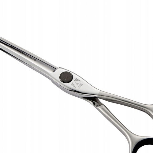 Hairdressing scissors EXAKTA 5,5' ARTERO Brand Philips