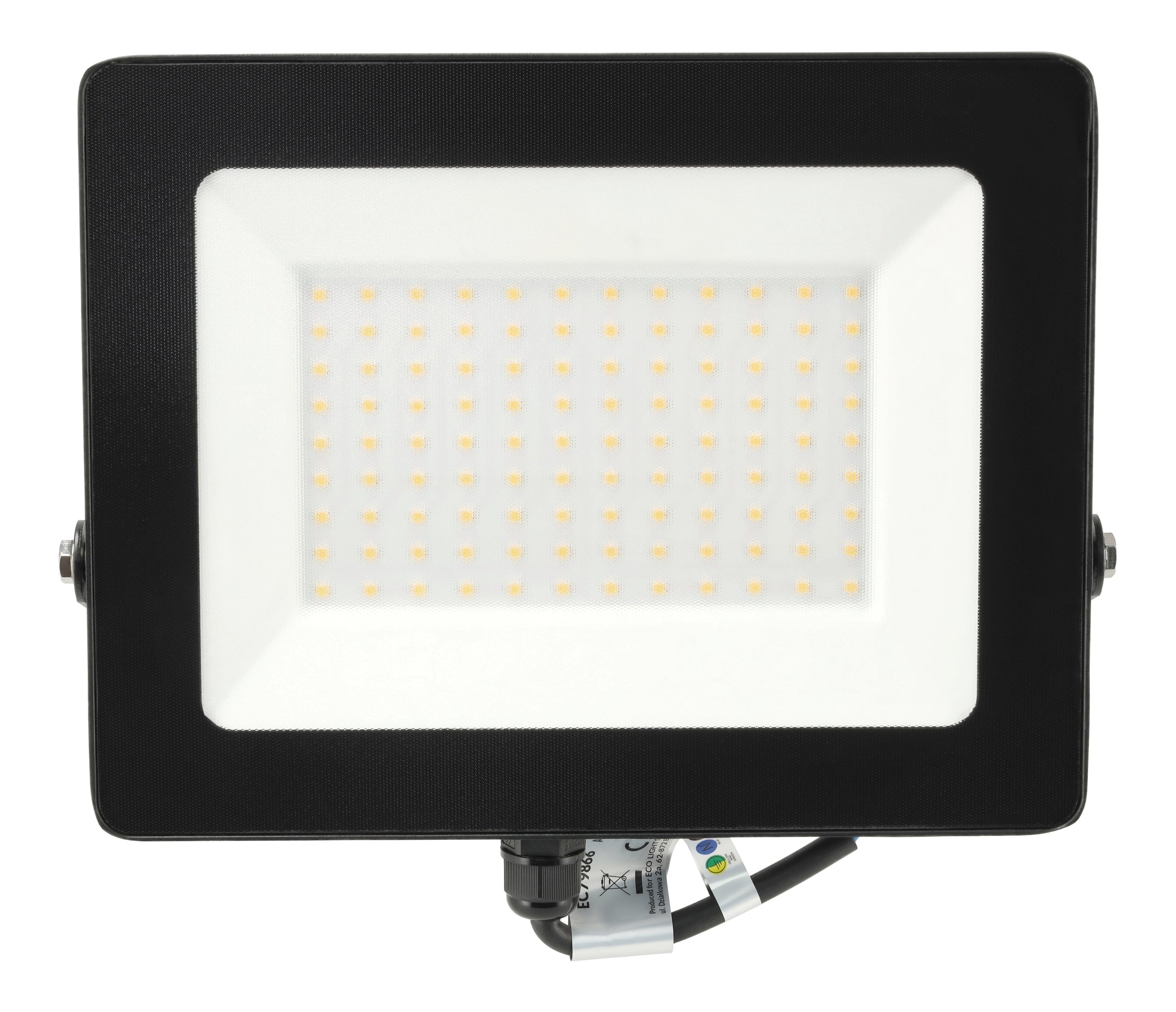 Halogen LED Floodlight 100W 4500K 9000lm Outdoor Garden Waterproof Brand Ecolight