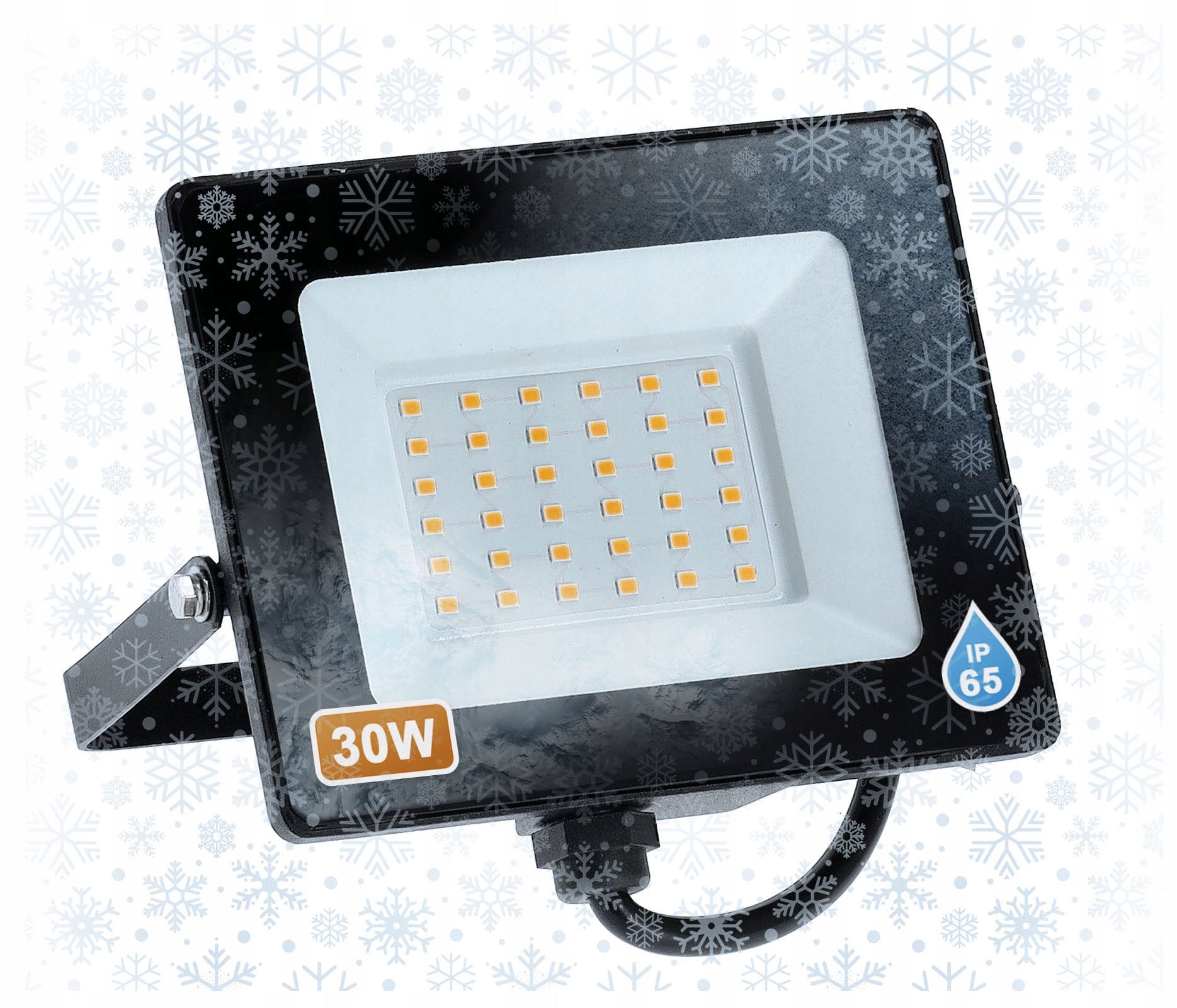 Halogen LED Floodlight 30W 2550lm For Winter IP65 Packaging status original