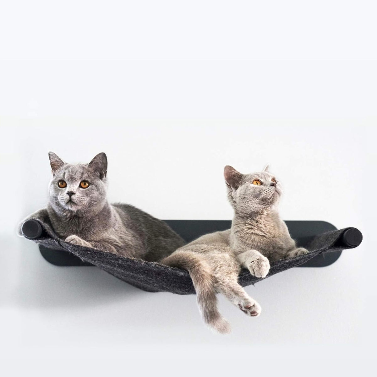 Hammock Cat Hanging Bed Wall Felt Natural Designer Manufacturer code 1/00159
