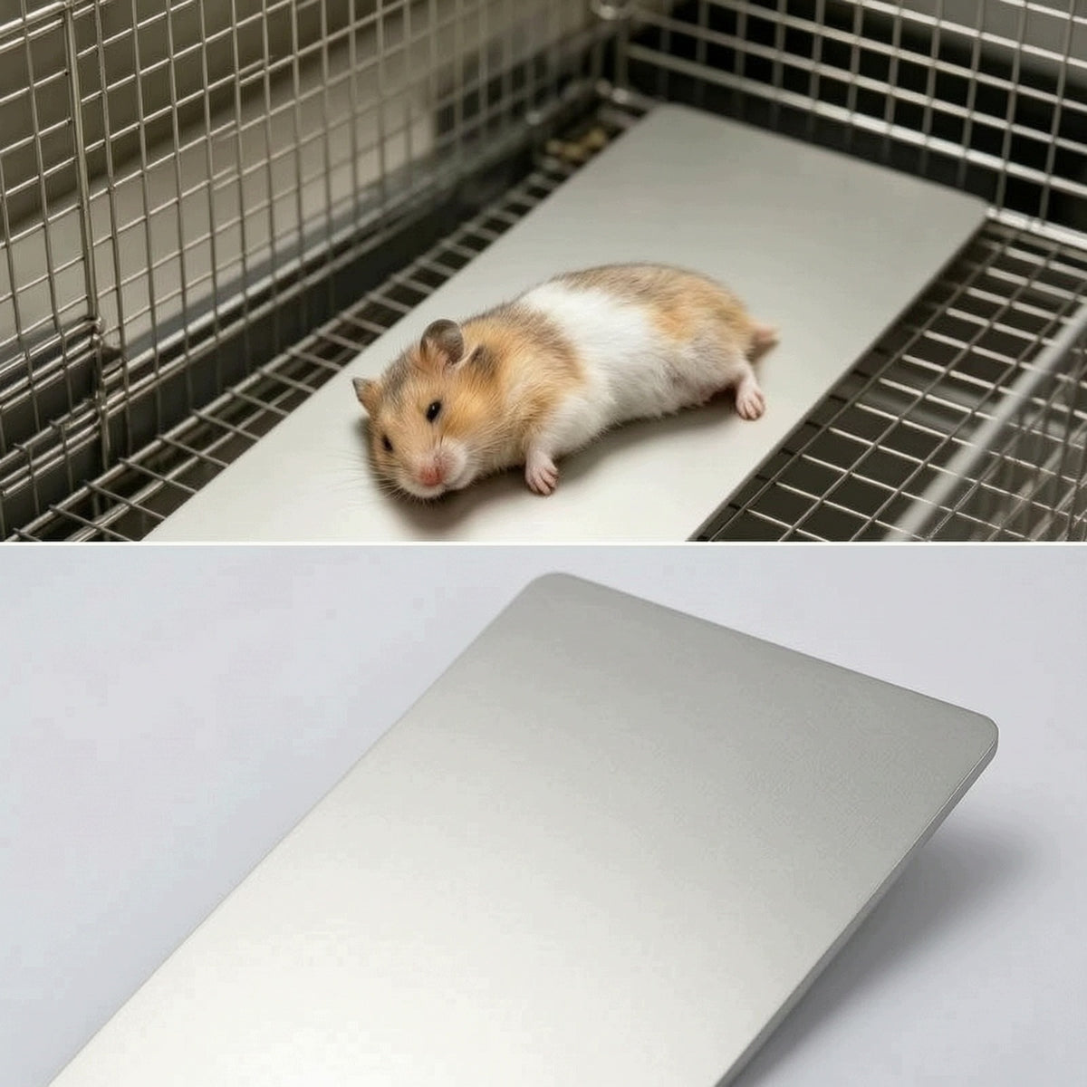 Hamster Cool Plate Smooth Aluminum Cooling Plate Rectangular for Small Pets Packaging status original