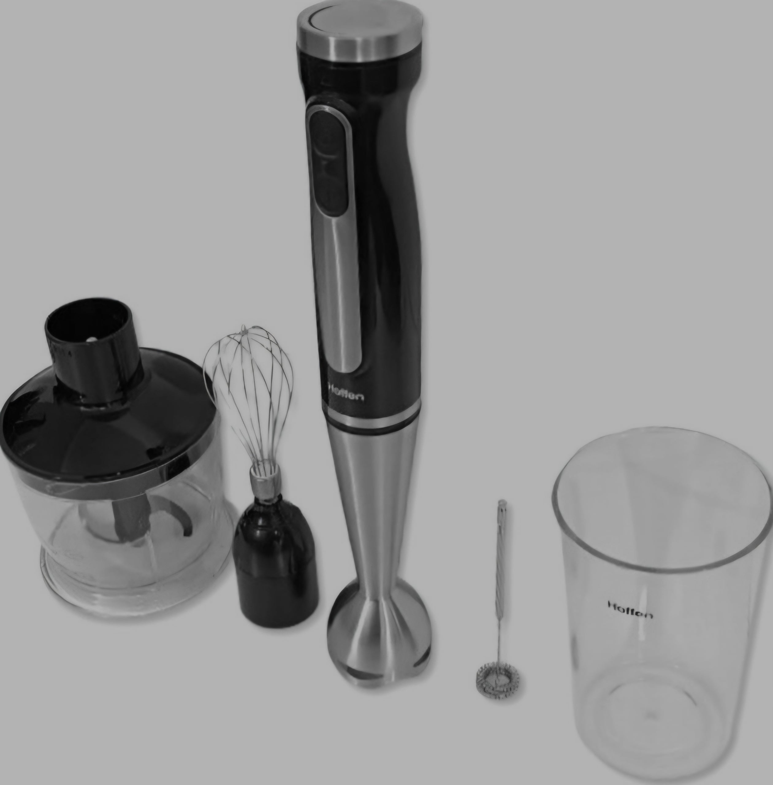 Hand Blender 4in1 Hoffen frother 1000W HB-5169