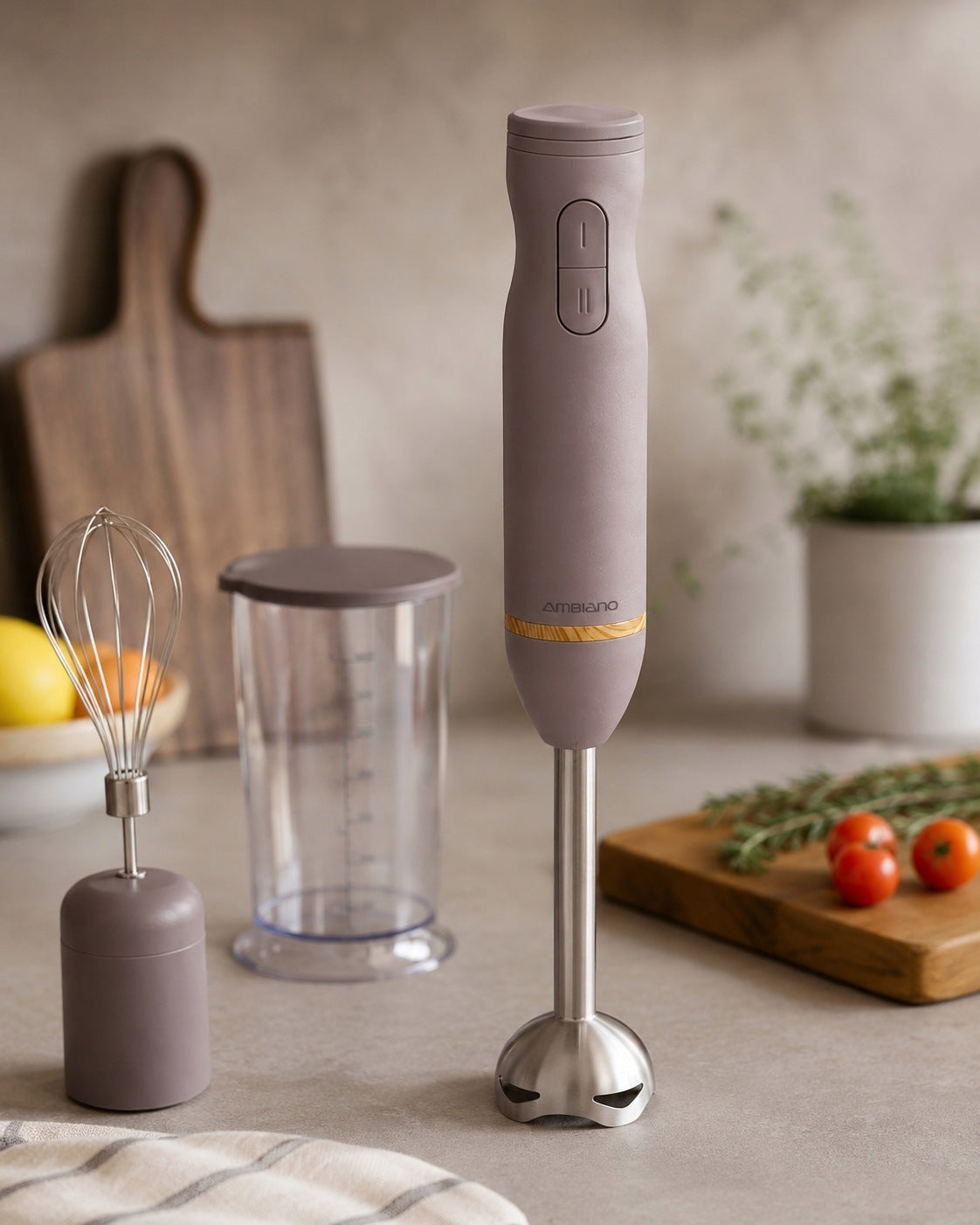 Hand Blender 800W 2 Speeds Beater Container 700ml Steel Packaging status original