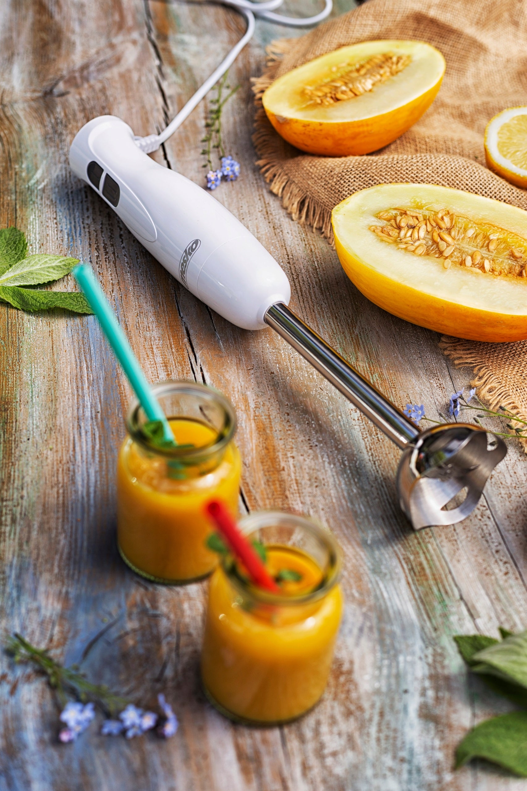 Hand blender Mesko MS4619 300 W white Manufacturer code MS4619