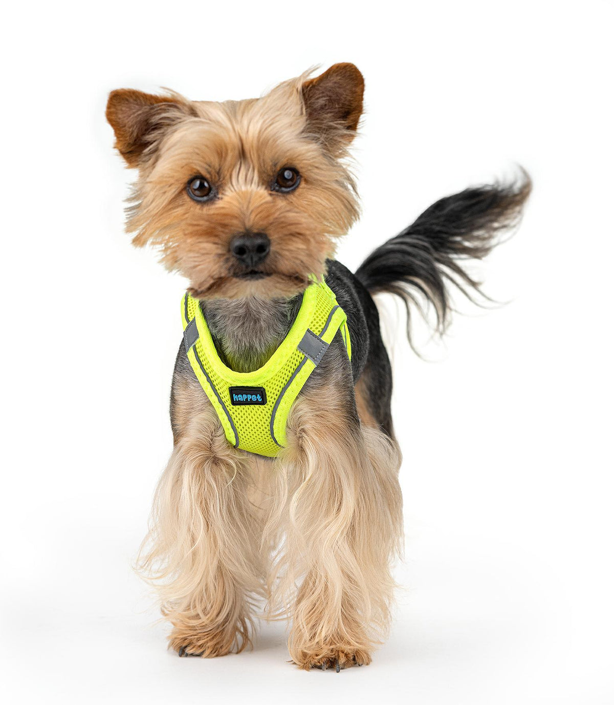 Happet adjustable pressure-free neon lime XL (JT33) Manufacturer code JT33