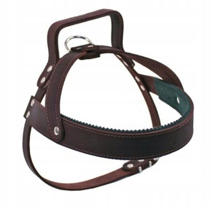 Harness ACTION-P 68-82cm for training, defense,
