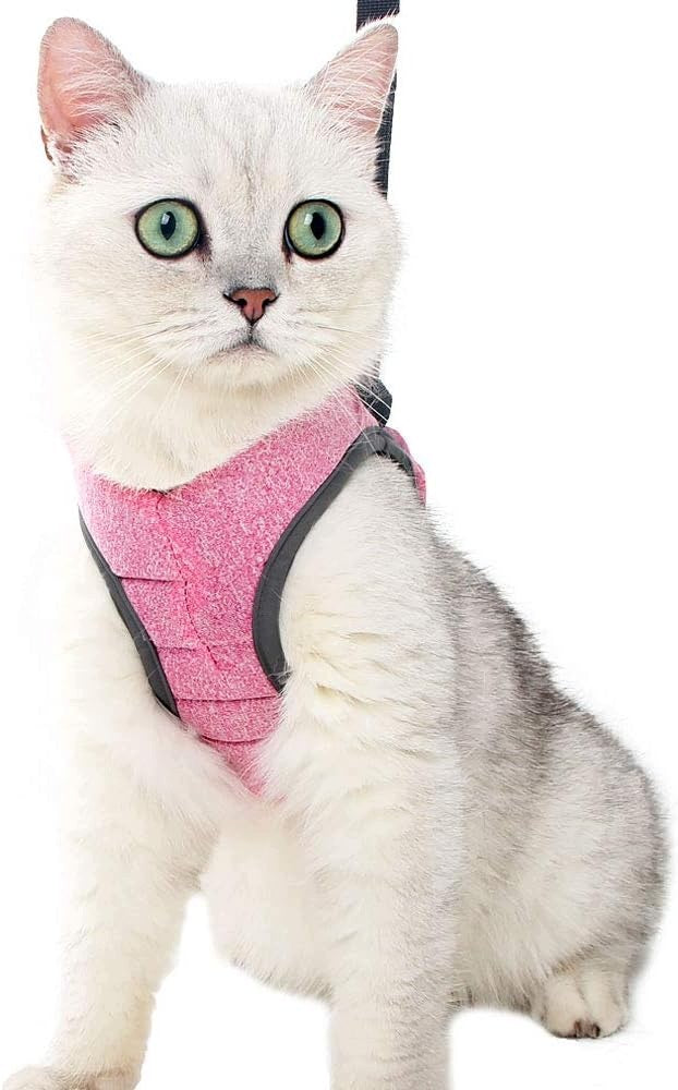 Harness Dog Harness Cat Rabbit Harness with Clip Lanyard Set Size M