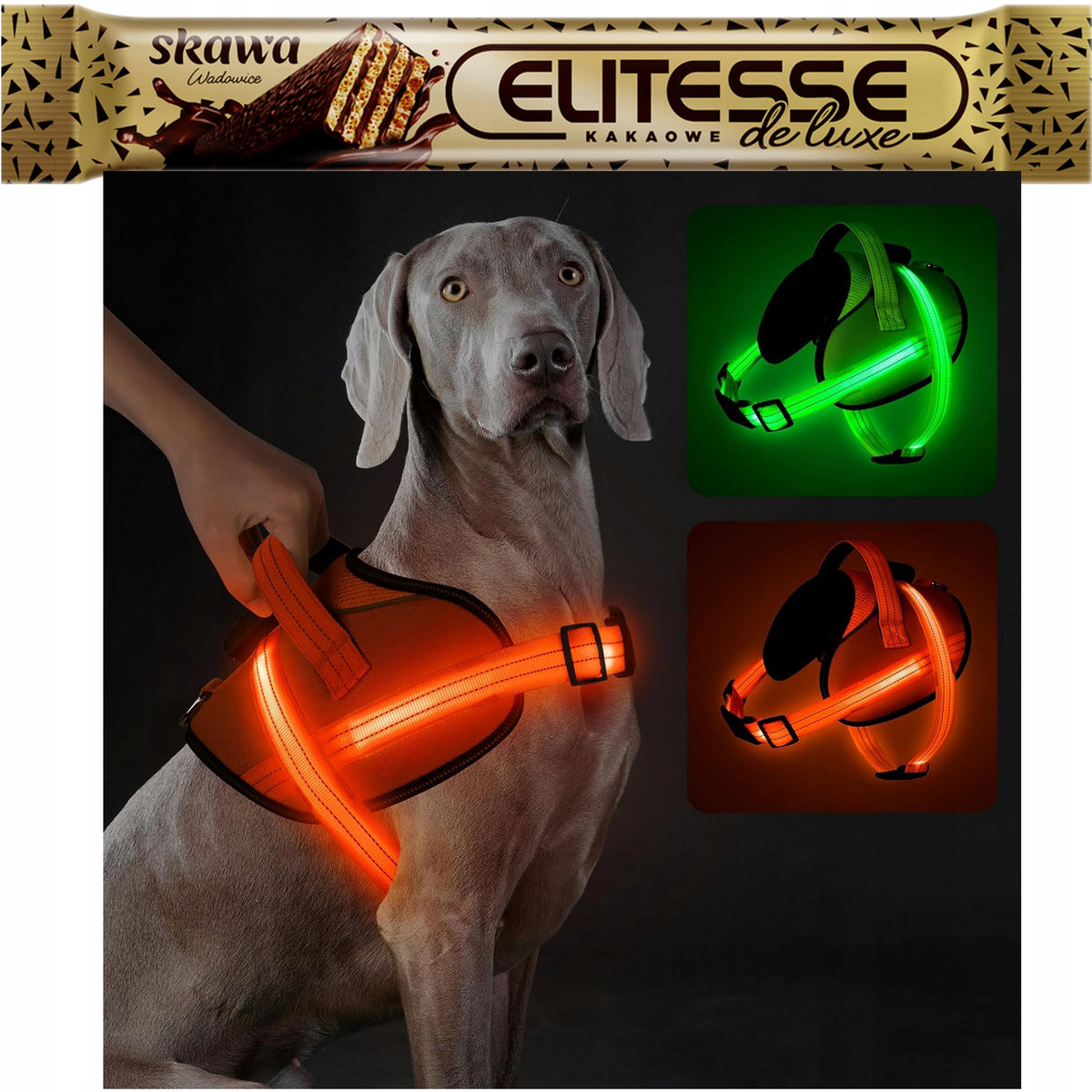 Harness Glowing Led For Dog Pressure-Free Orange Size XXL Harness New