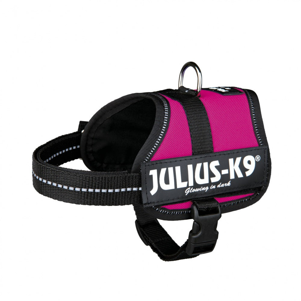 Harness Julius- K9, Mini- Mini/ S: 40- 53 cm, fuchsia Trixie