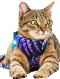 Harness-Peloskleppl Pressure-Free Adjustable Breathable 8in r.3 S