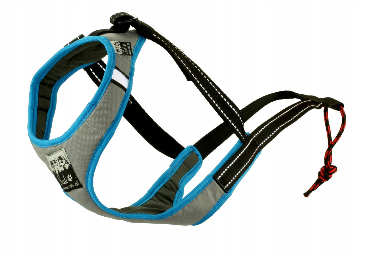 Harness SPORT SLED size L grey-turquoise