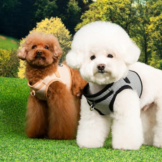 Harness / Vest for dog or cat PUPPIA Amatus Beige - size: S Size S