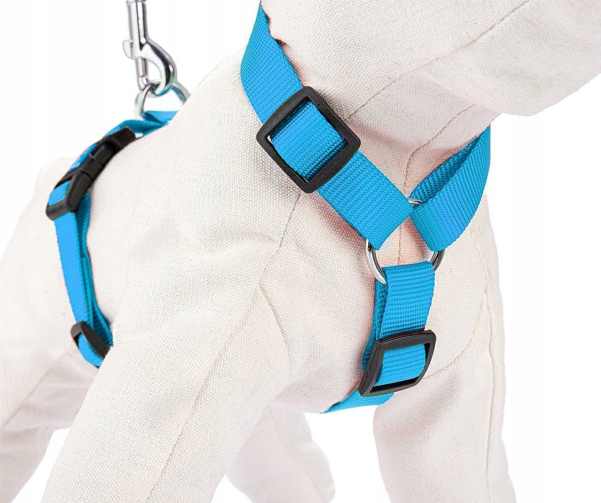 Harness adjustable tape S blue Manufacturer code JS22